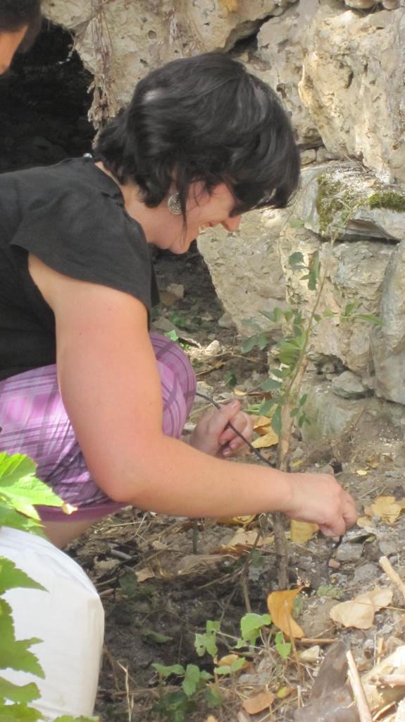 Segovia_-_Tenada_Del_Monte_Agosto_2012_142