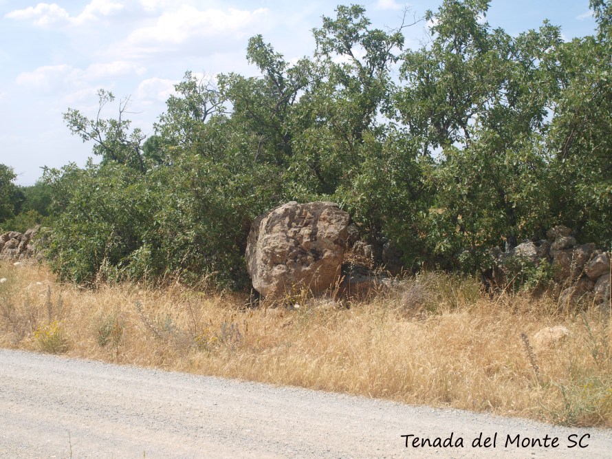 Manzaneda después de obra