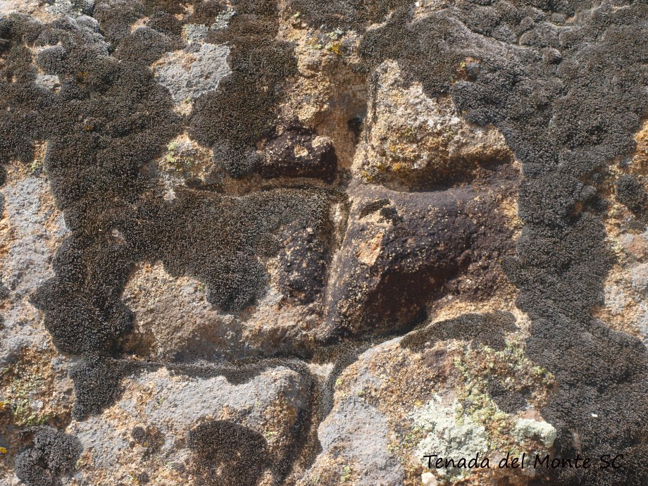 Cruz de la Manzaneda