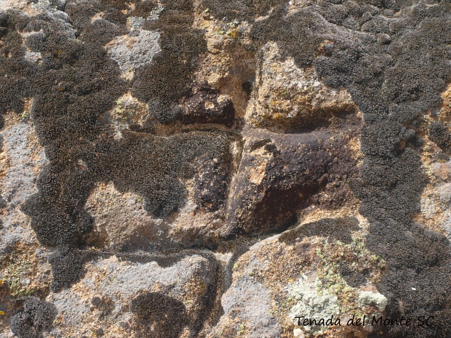 Cruz de la Manzaneda