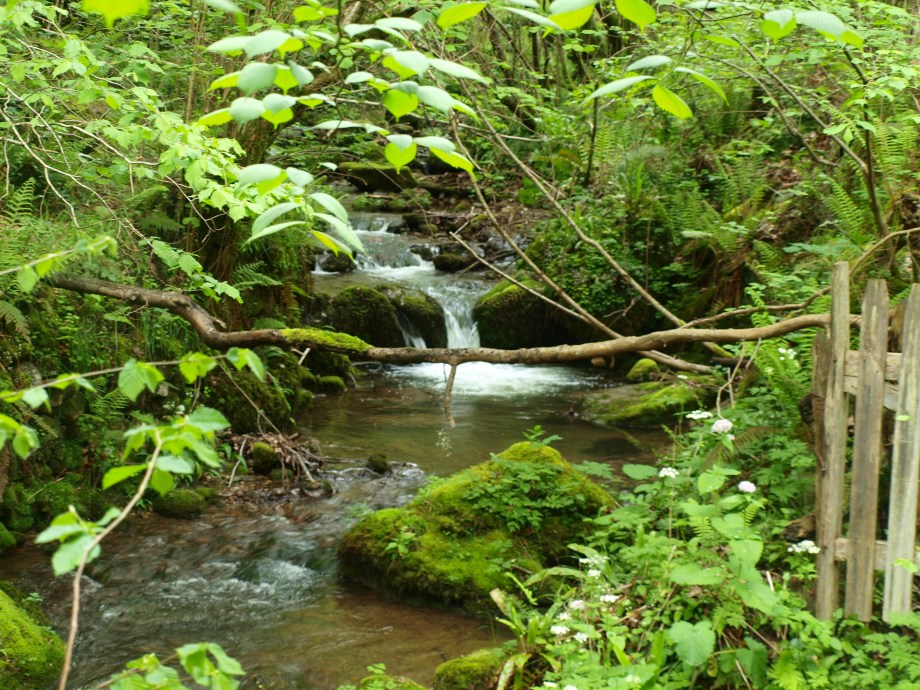 Arroyo de las Xanas