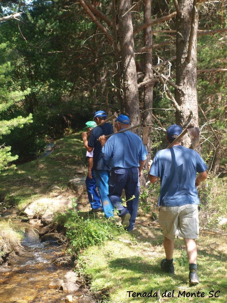 hacendera en Torreval de San Pedro