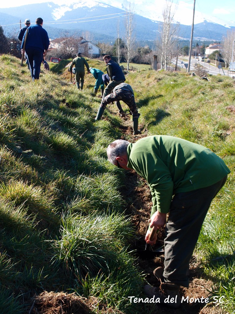 Comenzando a limpiar la cacera