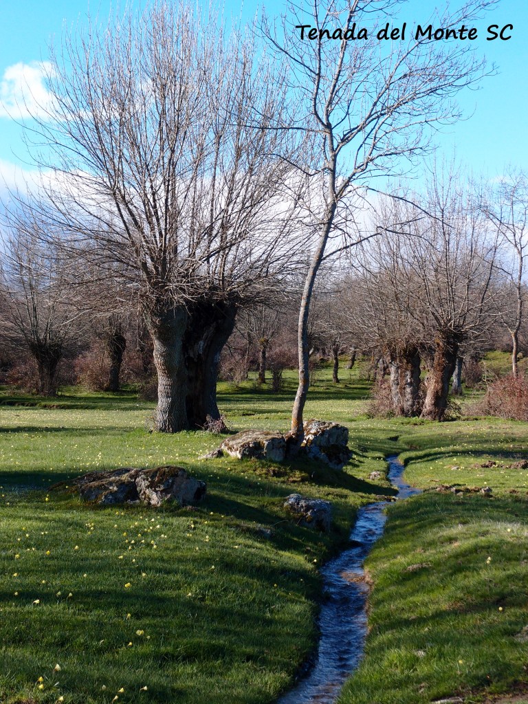La cacera de Revenga es necesaria para mantener el Soto