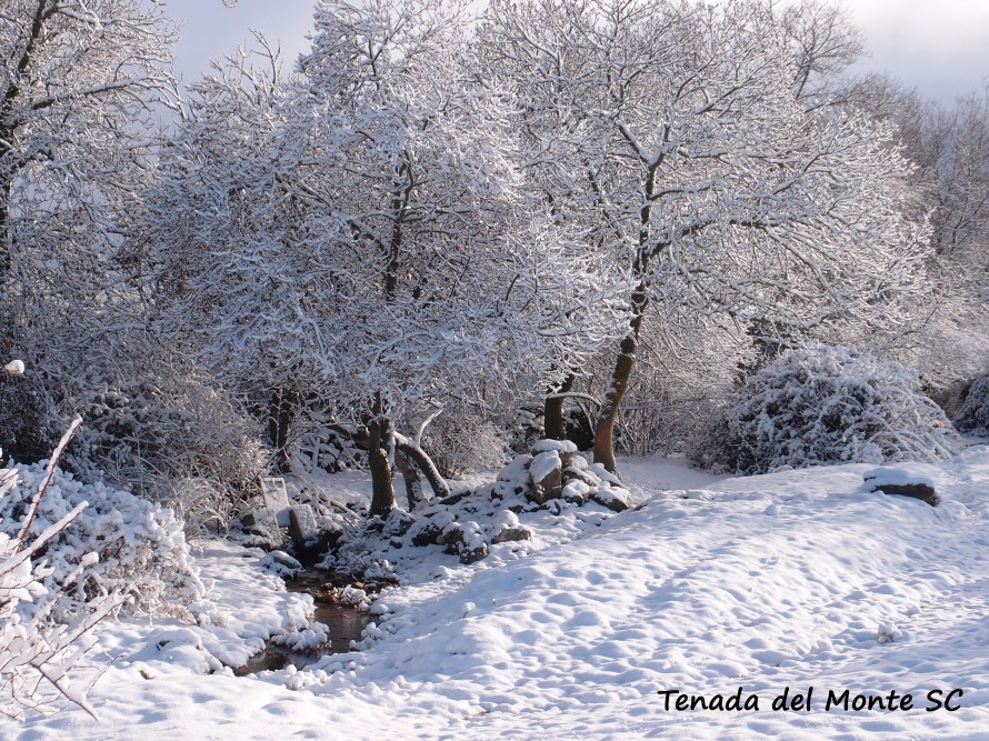 Cacera en Cabanillas del Monte