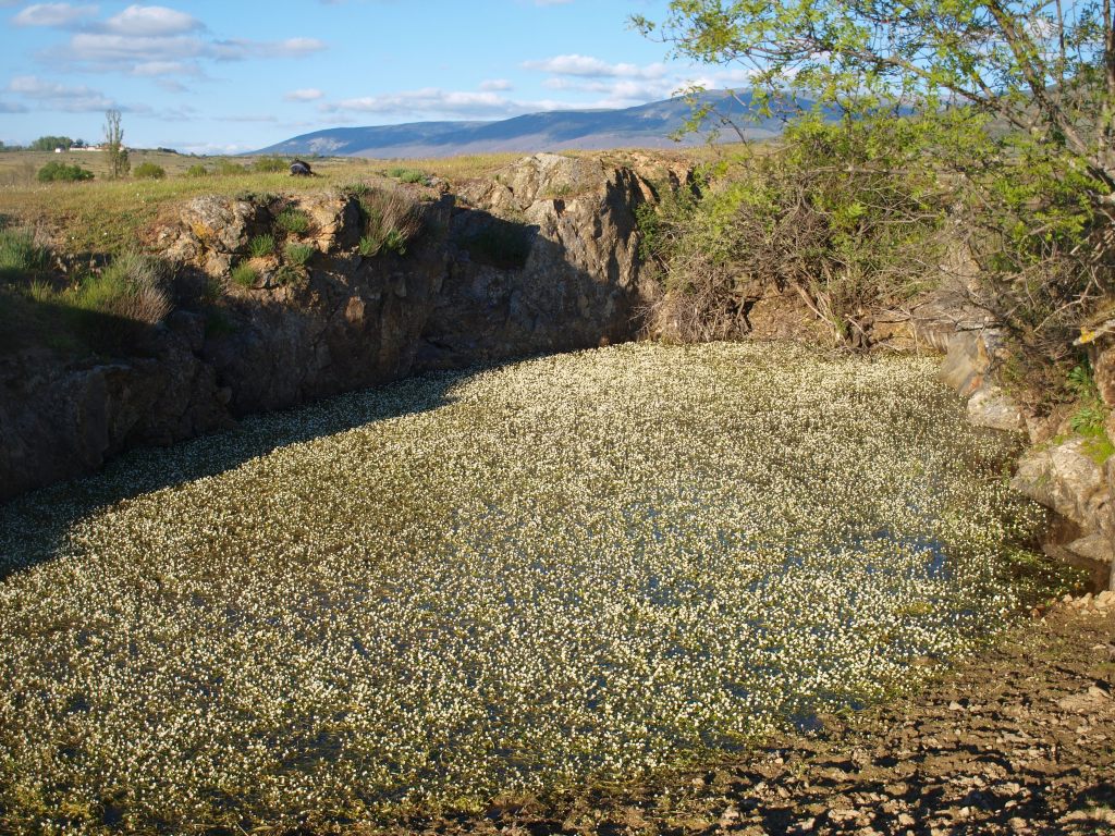 La imagen tiene un atributo ALT vacío; su nombre de archivo es p5231855.jpg